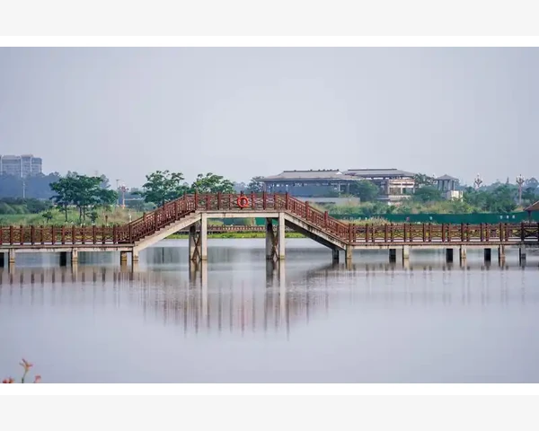 多喝清肺茶,助你护肺健康